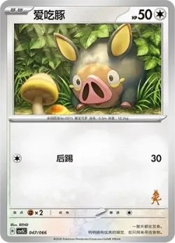 Lechonk 「CSVSC 047/066」「CN」