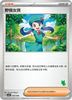 Picnicker 「CSVSC 065/066」「CN」