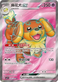 Dachsbun ex 「CSV7C 220/204」「CN」