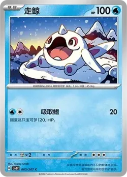 Cetoddle #065/207 · Pokémon