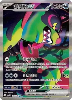 Okidogi ex 「CSV8C 247/207」「CN」
