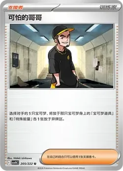 Ruffian #205/222 · Pokémon