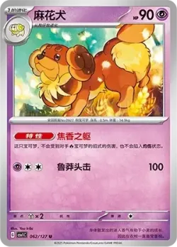 Dachsbun #062/127 · Pokémon