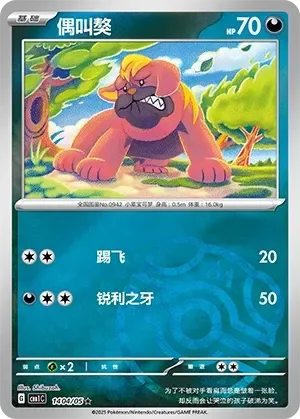 Maschiff 「CBB1C 1404/05」「CN」