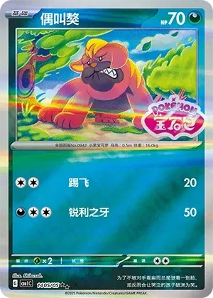 Maschiff 「CBB1C 1405/05」「CN」