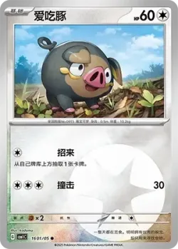 Lechonk 「CBB1C 1601/05」「CN」