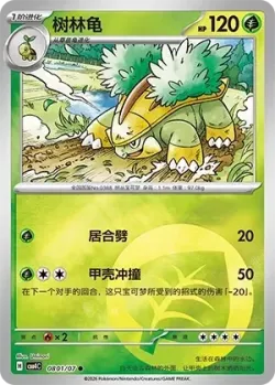 Grotle #0801/07 · Pokémon