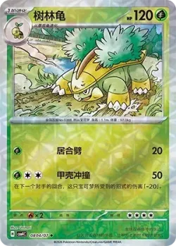 Grotle #0804/07 · Pokémon
