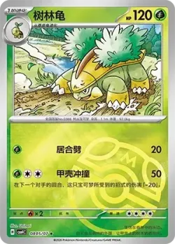 Grotle #0805/07 · Pokémon