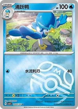 Quaxwell 「CBB5C 2405/07」「CN」