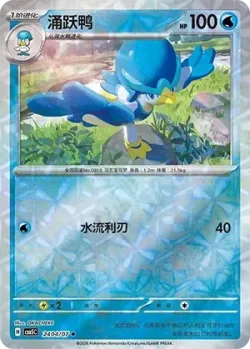 Quaxwell 「CBB5C 2404/07」「CN」