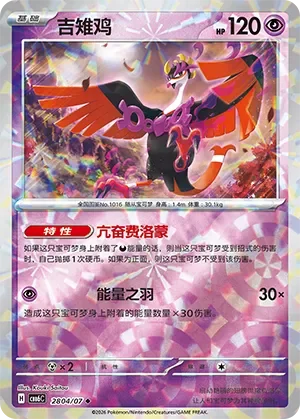 Fezandipiti 「CBB6C 2804/07」「CN」