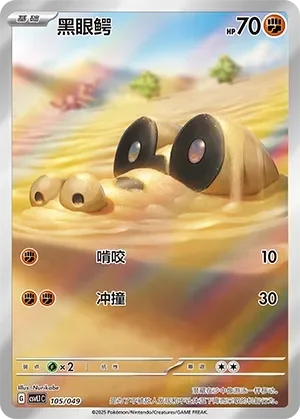 Sandile 「CSVL1C 105/049」「CN」