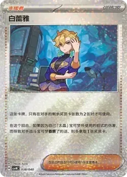 Briar 「CSVNC 038/040」「CN」