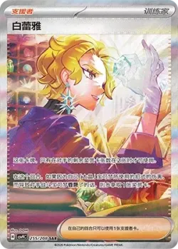 Briar 「CSV9C 255/208」「CN」