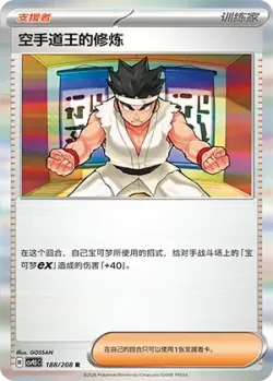 Black Belt's Training #188/208 · Pokémon