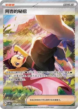 Janine's Secret Art 「CSV9.5C 250/208」「CN」