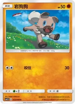 Rockruff #022/060 · Pokémon