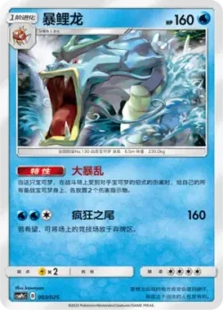 Gyarados 「CSMPCC 003/025」「CN」