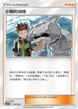 Brock's Training #307/342 · Pokémon