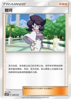 Wicke 「CSM1DC 299/324」「CN」