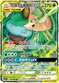 Venusaur & Snivy-GX #001/061 · Pokémon