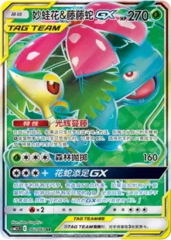 Venusaur & Snivy-GX 「CSM2.5C 062/061」「CN」