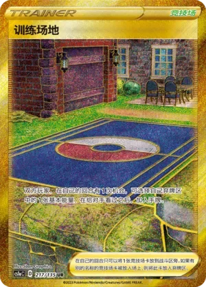 Training Court 「CS1AC 217/135」「CN」