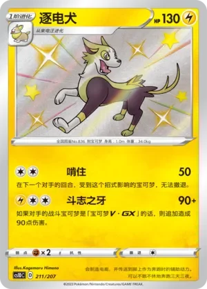 Boltund 「CS1DC 211/207」「CN」