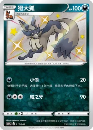 Thievul 「CS1DC 217/207」「CN」
