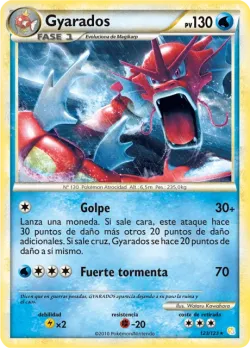Gyarados 「HS 123」「ES」