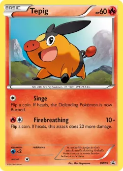 Tepig #BW07 · Pokémon