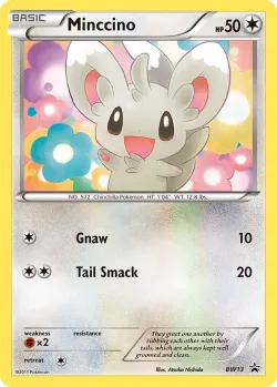 Minccino #BW13 · Pokémon