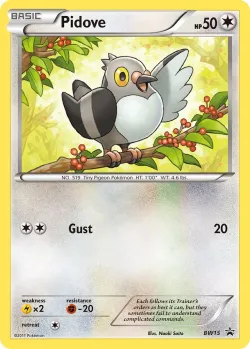 Pidove #BW15 · Pokémon