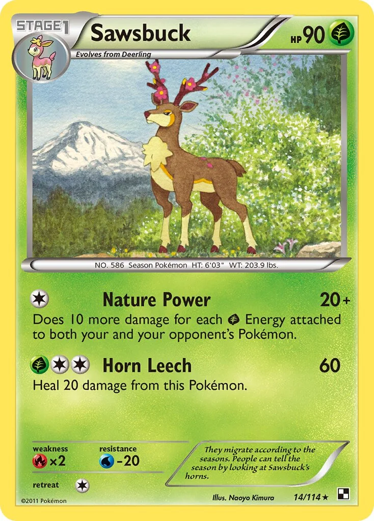 Sawsbuck 「BLW 14/114」「EN」