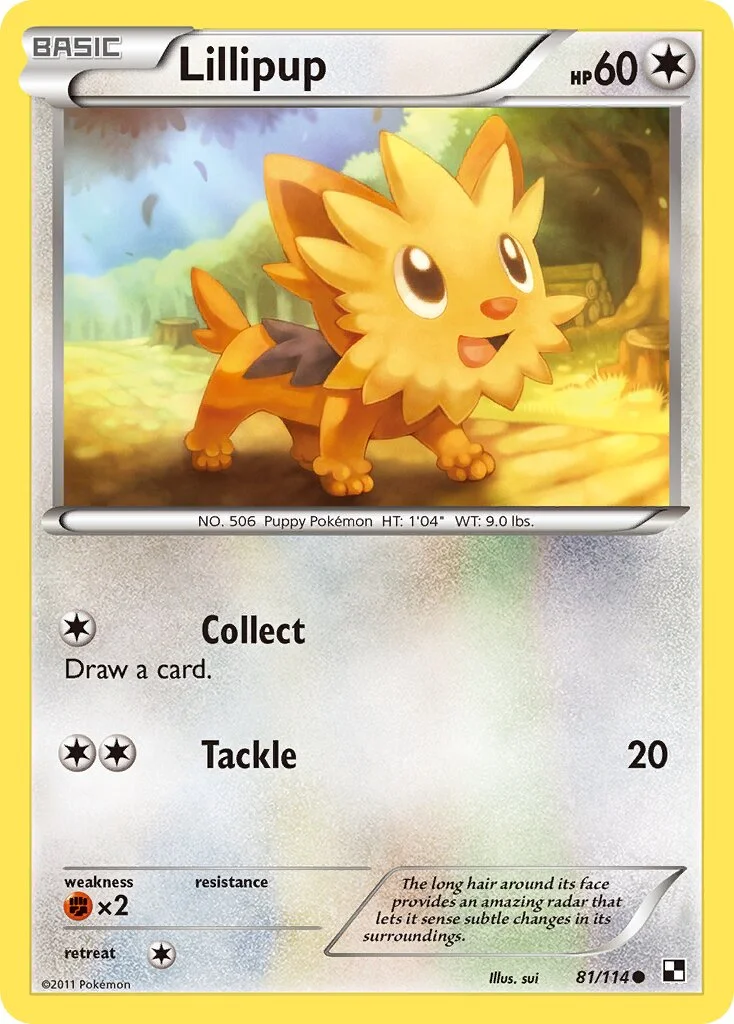 Lillipup 「BLW 81/114」「EN」