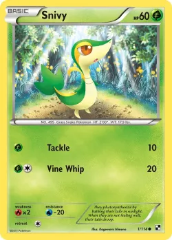 Snivy #1/114 · Pokémon