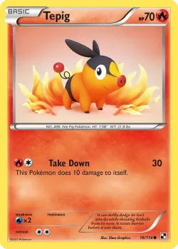 Tepig #16/114 · Pokémon
