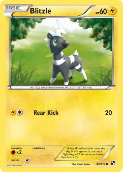 Blitzle #40/114 · Pokémon