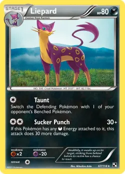 Liepard #67/114 · Pokémon