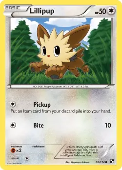 Lillipup #80/114 · Pokémon