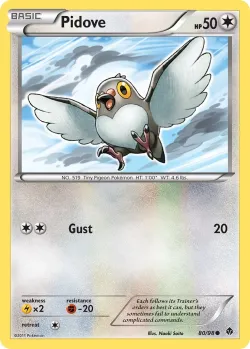 Pidove 「EPO 80/98」「EN」
