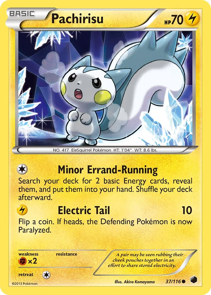Pachirisu 「PLF 37/116」「EN」