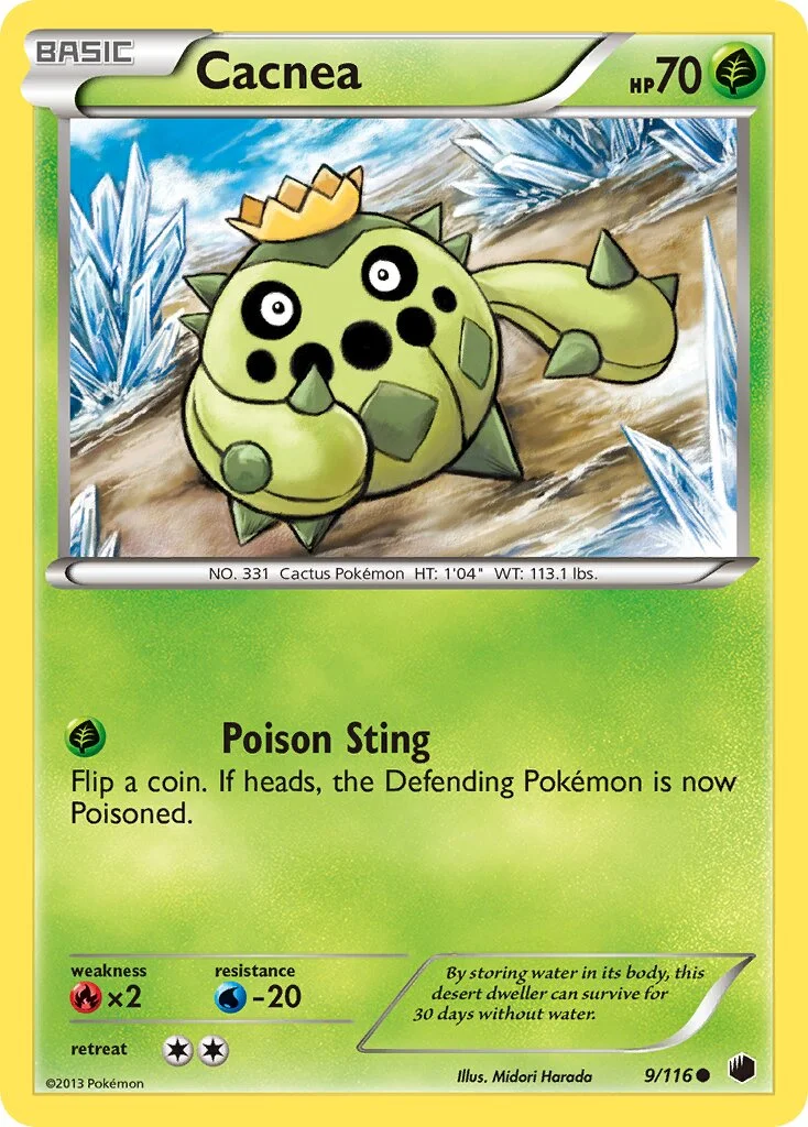 Cacnea 「PLF 9/116」「EN」