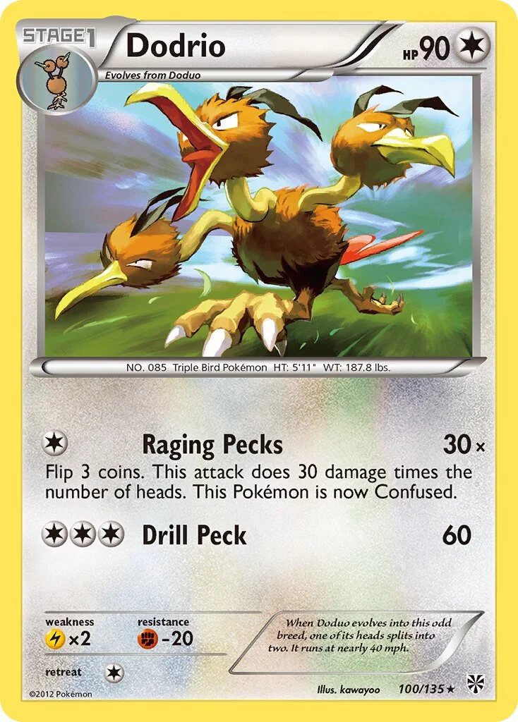 Dodrio 「PLS 100/135」「EN」