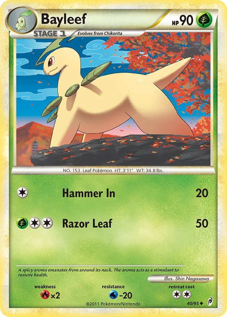 Bayleef 「CL 40/95」「EN」