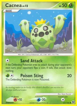 Cacnea 「GE 62/106」「EN」