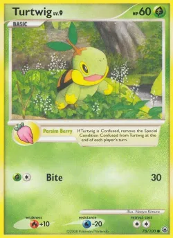 Turtwig 「MD 78/100」「EN」