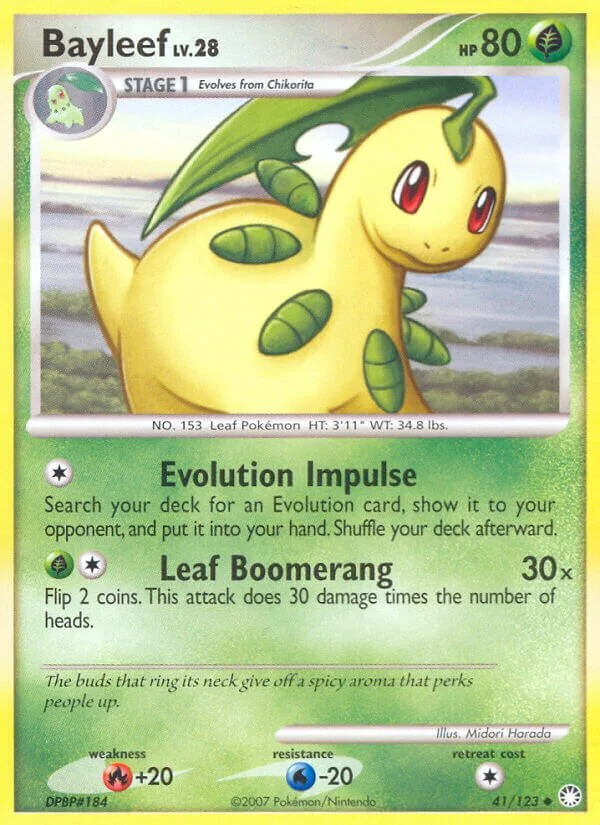 Bayleef 「MT 41/123」「EN」