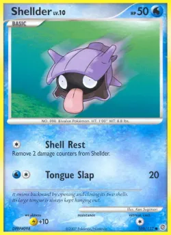Shellder 「SW 105/132」「EN」